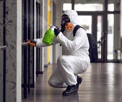 Best Mold Removal for HVAC Installations  in Level Green, PA